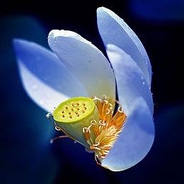 第一人称视角密室逃脱风格【千代】将于10月31日推出    Steam试玩版先行下载中